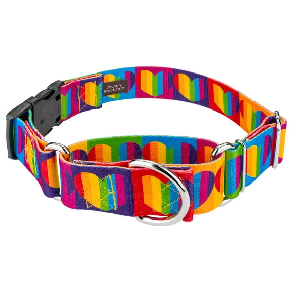 Country Brook Petz® 1 1/2 inch Rainbow Hearts Martingale w/Deluxe Buckle Dog Collar, Medium