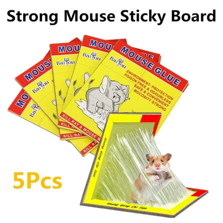 5x MAX Mouse Sticky Board Rat Glue Strong Stickness Snare Bugs Trap