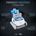 thumbnail image 5 of Dolphin Proteus DX4 Plus Automatic Robotic Pool Cleaner Ideal for Pools up to 33 FT, Wall & Sun-ledge Scrubbing, Top-Load Filter 99996290-DX4, 5 of 10