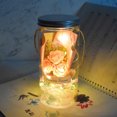thumbnail image 2 of Wishing Bottle Soap Flower - Hanging Night Lamp Desktop Decoration with Light, 2 of 7