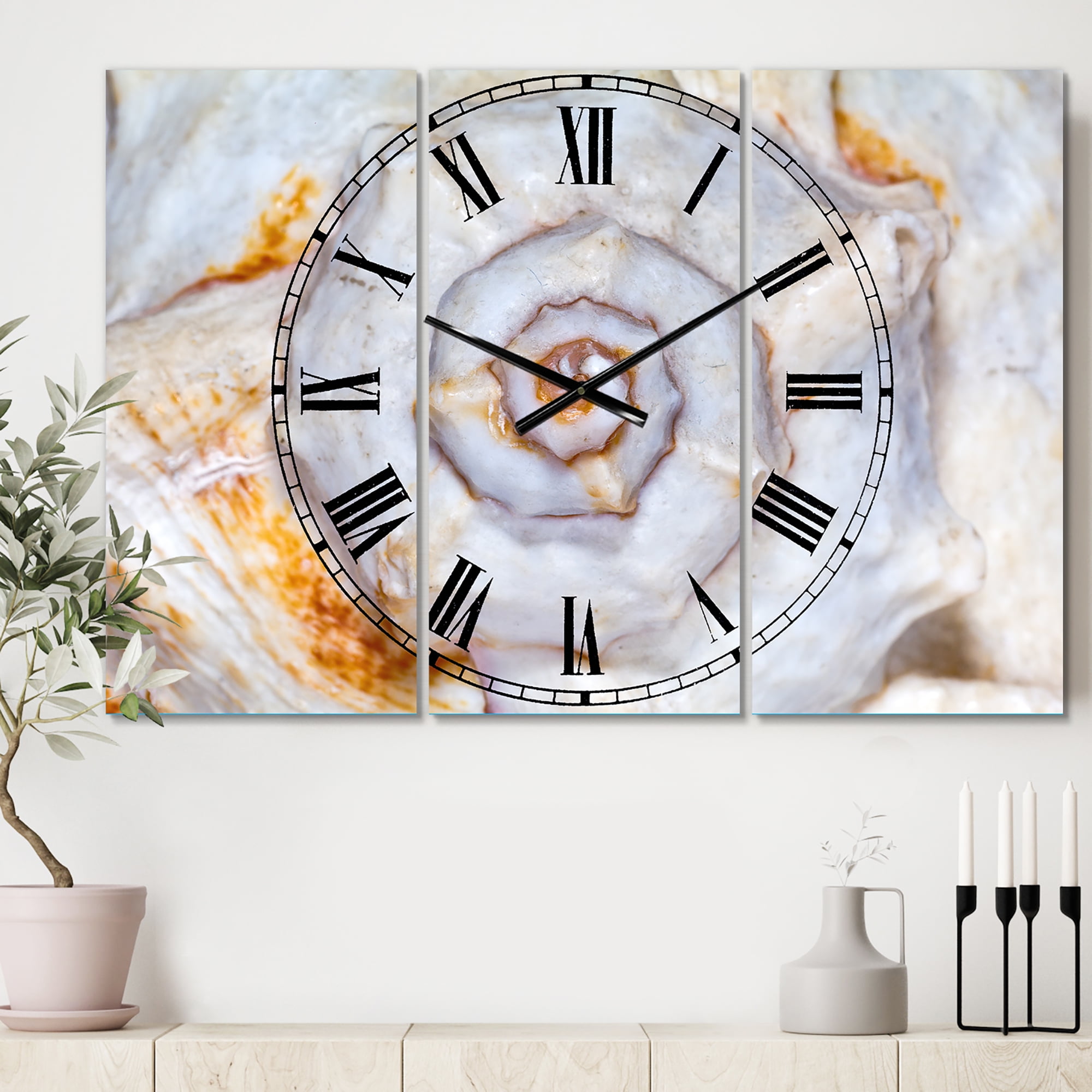 Designart 'Great Skeleton of Sea Shell' Beach Style Wall Clock
