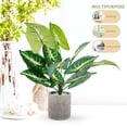 thumbnail image 3 of Hytrove Planta Artificial En Maceta Decorativa Verde De Plástico Para Hogar Oficina Y, 3 of 6