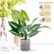 thumbnail image 3 of Hytrove Planta Artificial En Maceta Decorativa Verde De Plástico Para Hogar Oficina Y, 3 of 6
