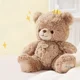 thumbnail image 4 of Oso de alta calidad con tarro de miel, animales de peluche con abeja, juguetes de peluche, muñeca, almohada, niños, amantes, cumpleaños, regalo de bebé751, 4 of 5