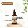 thumbnail image 3 of Mushroom Supplements Blends Liquid Extract with Reishi 1fl .oz, Lion's Mane, Chaga, Turkey Tails - Organic Nootropic Brain Supplements for Memory and Focus - Herbal Goodness, 3 of 9