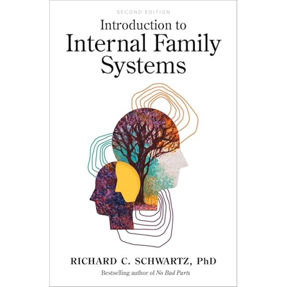 Pre-Owned Introduction to Internal Family Systems, 9781683643616, 1683643615, Paperback,