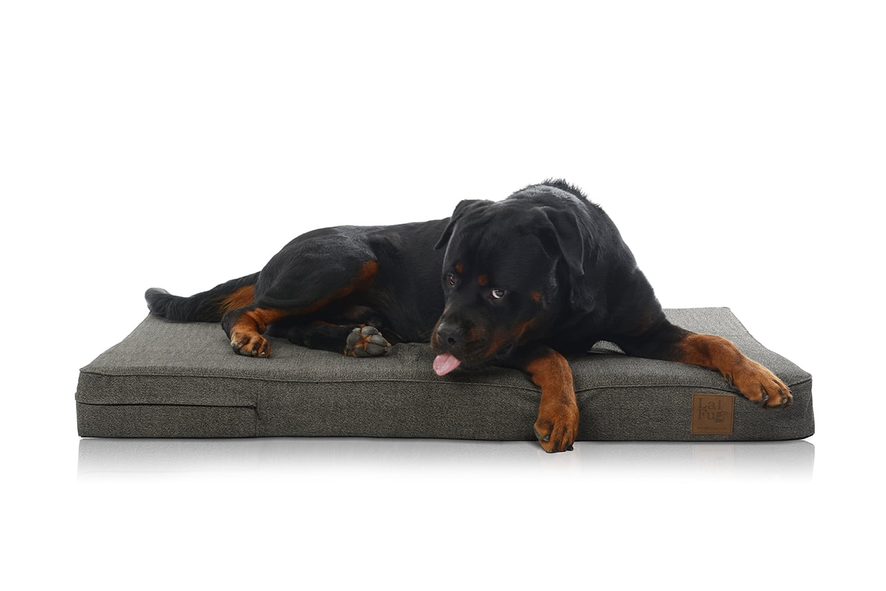 xxl waterproof dog bed