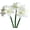 White, variant on 24.4'' Real Touch Artificial Amaryllis Flowers Stem 3pcs Faux Lily Bouquet Large Tropical Flowers Fake Plant for Home Office Vase Arrangements