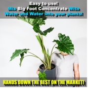 Big Foot Mycorrhizae for Plants, Potted Plants and Gardens - Concentrate Fully Dissolves in Water, Year Round Organic Fertilizer for Root Growth and Healthy Soil - 10 Pounds of Mycorrhizal Inoculant