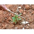 thumbnail image 5 of Desherbador Multifuncional Herramientas De Bonsái Herramientas Domésticas Herramientas De Mano Desmalezador De Jardín Herramientas De Corte Paleta De Raíz De Jardín XianweiShao 1327533095426, 5 of 5