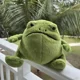 thumbnail image 2 of Nuevo juguete de peluche de rana de lluvia Ricky de 20 cm, muñeco de rana de dibujos animados, regalo para niños, 2 of 4