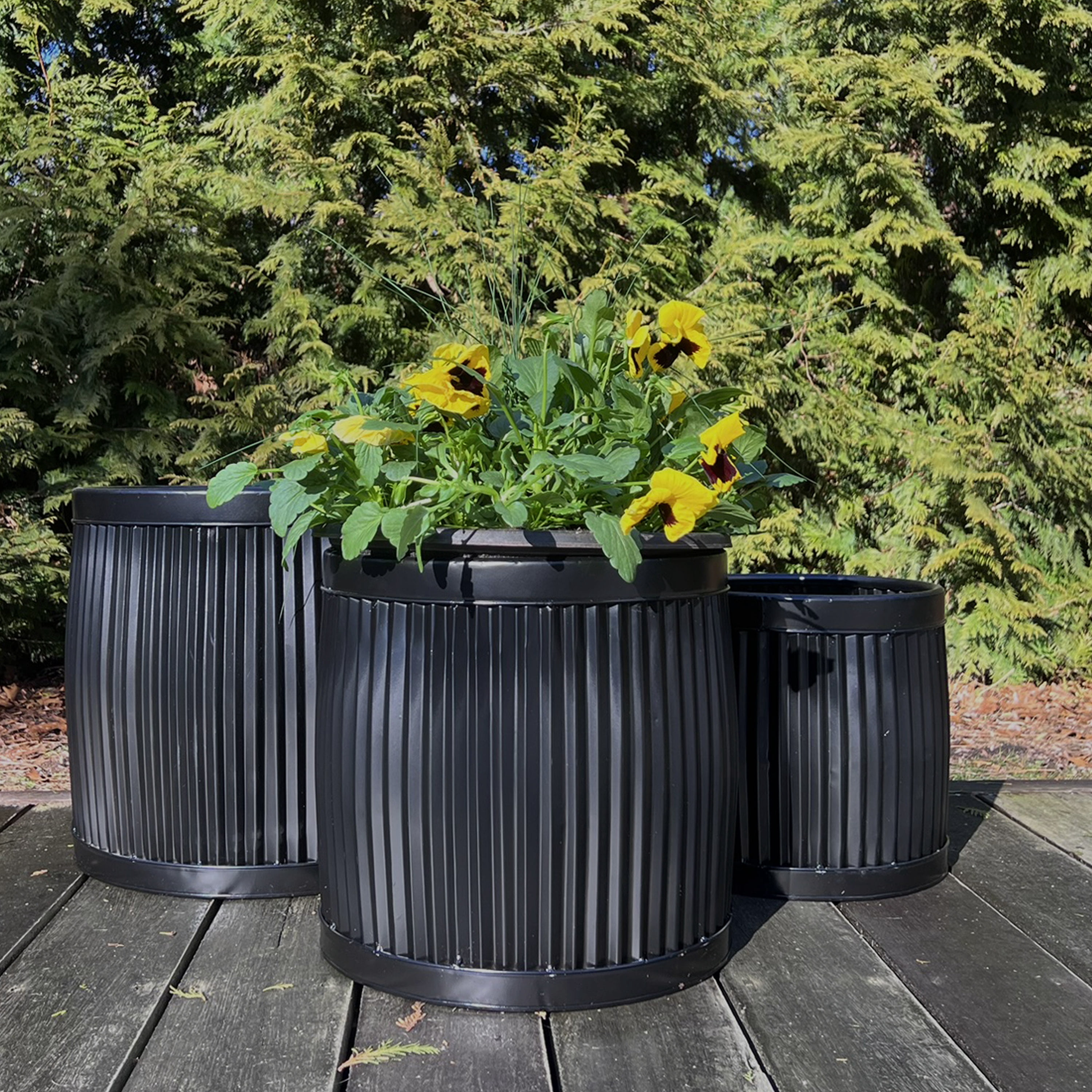 WHW Whole House Worlds Large Capacity French Country Style Belly Bucket Planters, Round, Set of 3, Galvanized Metal, Black, Corrugated Cache Pots, Rustic