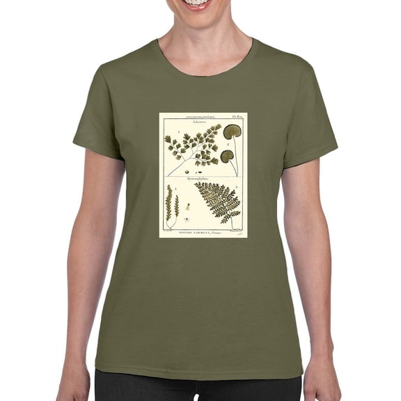 Fern Classification Iv T-Shirt Women -Denis Diderot Designs, Female 3X-Large