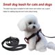 thumbnail image 4 of Methold Halloween Pet Accessories Supplies Rope Traction Safety Small-sized Fixing Costume High Dogs Gifts Type3 NO3 Methold PT003676-00, 4 of 5