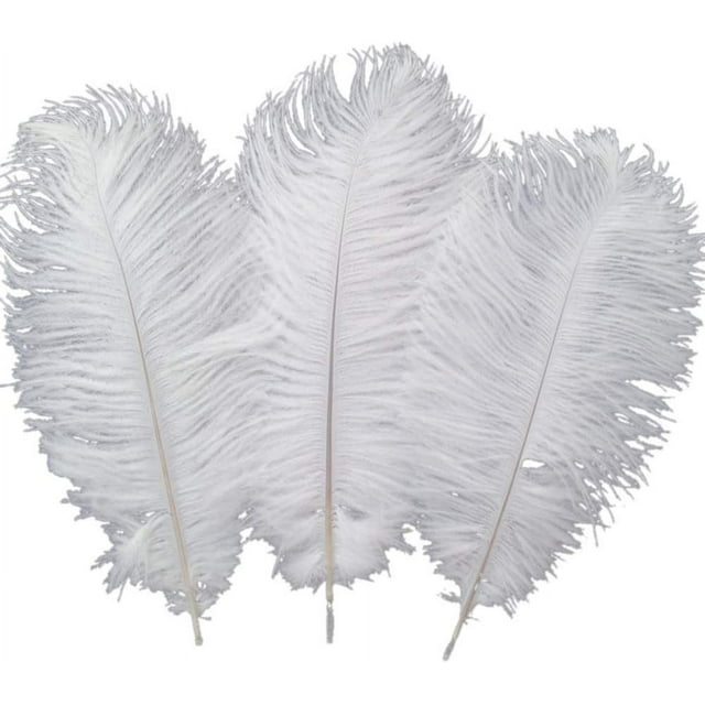 Plumas de avestruz naturales para una decoración encantadora del hogar, limpiadas y desinfectadas profesionalmente para un entorno seguro y no tóxico