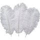 thumbnail image 1 of Plumas de avestruz naturales para una decoración encantadora del hogar, limpiadas y desinfectadas profesionalmente para un entorno seguro y no tóxico, 1 of 5