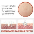 thumbnail image 4 of Blusoms Microdarts Tag'gone Patch,neutroera Blusoms Pro Microdarts Taggone Patch, 4 of 5