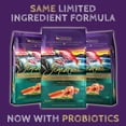 thumbnail image 5 of Zignature Salmon Formula Dry Dog Food, 4 Lb, 5 of 13