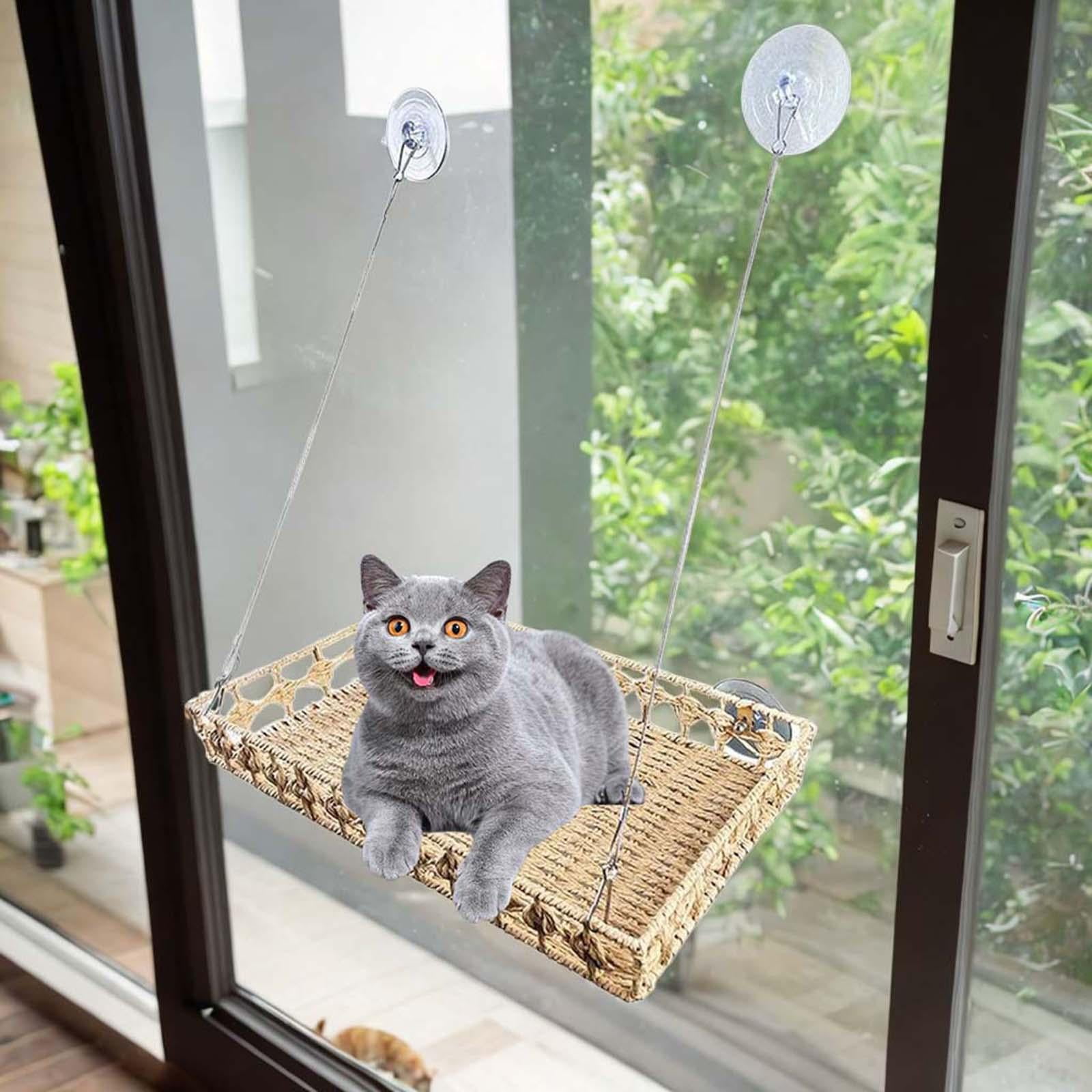 Kazoo hot sale cat hammock