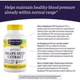 thumbnail image 4 of Healthy Origins MegaNatural BP 300 mg Vegetarian Capsules, 150 Ct, 4 of 6