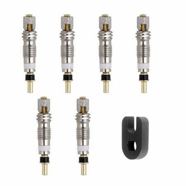Shengyu Bike Tire Valve Core Set Bicycle Tyre Air Valve Core Repair Tool Kit Replacement for Presta, 6pcs