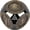 #1, variant on Metal Spinner Dice Set, 7-in-1, 3D Relief, for Tabletop RPG