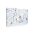 thumbnail image 2 of Trademark Fine Art 'Snow lynx' Canvas Art by PhotoINC Studio, 2 of 3