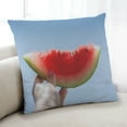 thumbnail image 1 of Ahgly Company Foods Watermelon Indoor Throw Pillow, 18 inch by 18 inch, 1 of 6