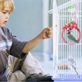 thumbnail image 4 of Volkmi 1pcs Small and Medium Parrot Toy Bird Biting Toy Cotton Rope Swing Color Ring Rose Red Small Diameter 15.5cm, 4 of 10