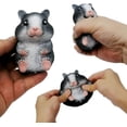 thumbnail image 1 of Bola de descompresión para niños adultos lindo hámster juguete con la punta del dedo alivio del estrés bola sensorial aliviar la tensión juguete regalo (negro), 1 of 5