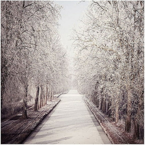 Trademark Art "Milky Way" Canvas Art by Philippe Sainte-Laudy