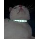 thumbnail image 5 of Collar reflectante para gatos con hebilla de seguridad y cascabel, ajustable, 19-32 cm, color negro, 5 of 5