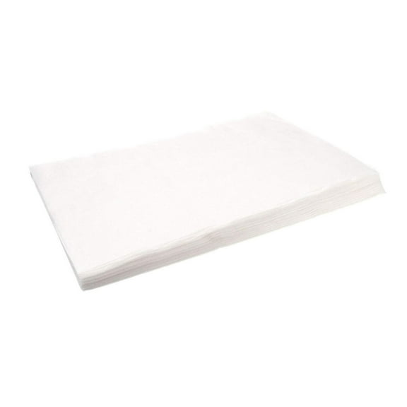 DyGTyX 803-0445 Paper Filter, 100 Sheets, 16.5" x 25.5"