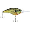 thumbnail image 2 of Berkley Frittside Fishing Lure, HD Bluegill, 3/7 oz, 2 of 4