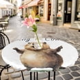 thumbnail image 6 of Happy Groundhog Day Round Tablecloth for 36-44 Inch Tables,Fitted Table Cover with Elastic Edge,Funny Cute Animal Spring Pastoral Waterproof Outdoor Table Cloth Protector for Patio Garden Dinner, 6 of 9