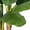 6FT, variant on Realistic Artificial Banana Tree – Faux Exotic Plant for Home & Office Decor – 11 Lush Silk Banana Leaves, Tall with Grey Planter, Large Decorative Plant – Indoor/Outdoor – 5FT
