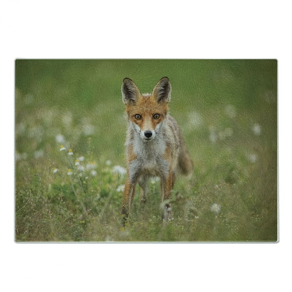 Fox Cutting Board, Photo of a Young Curious Coyote on Green Meadow, Decorative Tempered Glass Cutting and Serving Board, in 3 Sizes, by Ambesonne