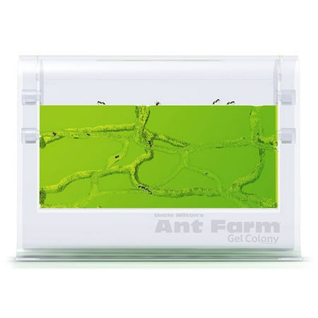 Uncle Milton Ant Farm Gel Colony