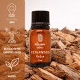 thumbnail image 4 of Aceite Esencial Puro Cedro 15 ml, 4 of 5