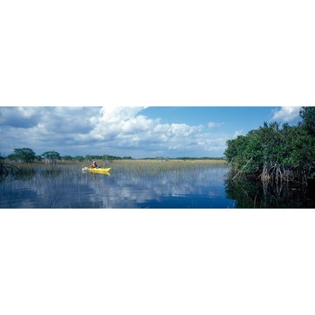 Tourist kayaking in a pond Nine-Mile Pond Canoe Trail Everglades National Park Florida USA Stretched Canvas - Panoramic Images (36 x