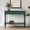 Green, variant on CBJCBJ Narrow Console Table with Charging Station, 2-Tier Simple Entryway Table for Living Room Hallway,Blue