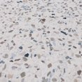 thumbnail image 5 of Tapis de cuisine Terrazo mult 51x107cm, 5 of 5