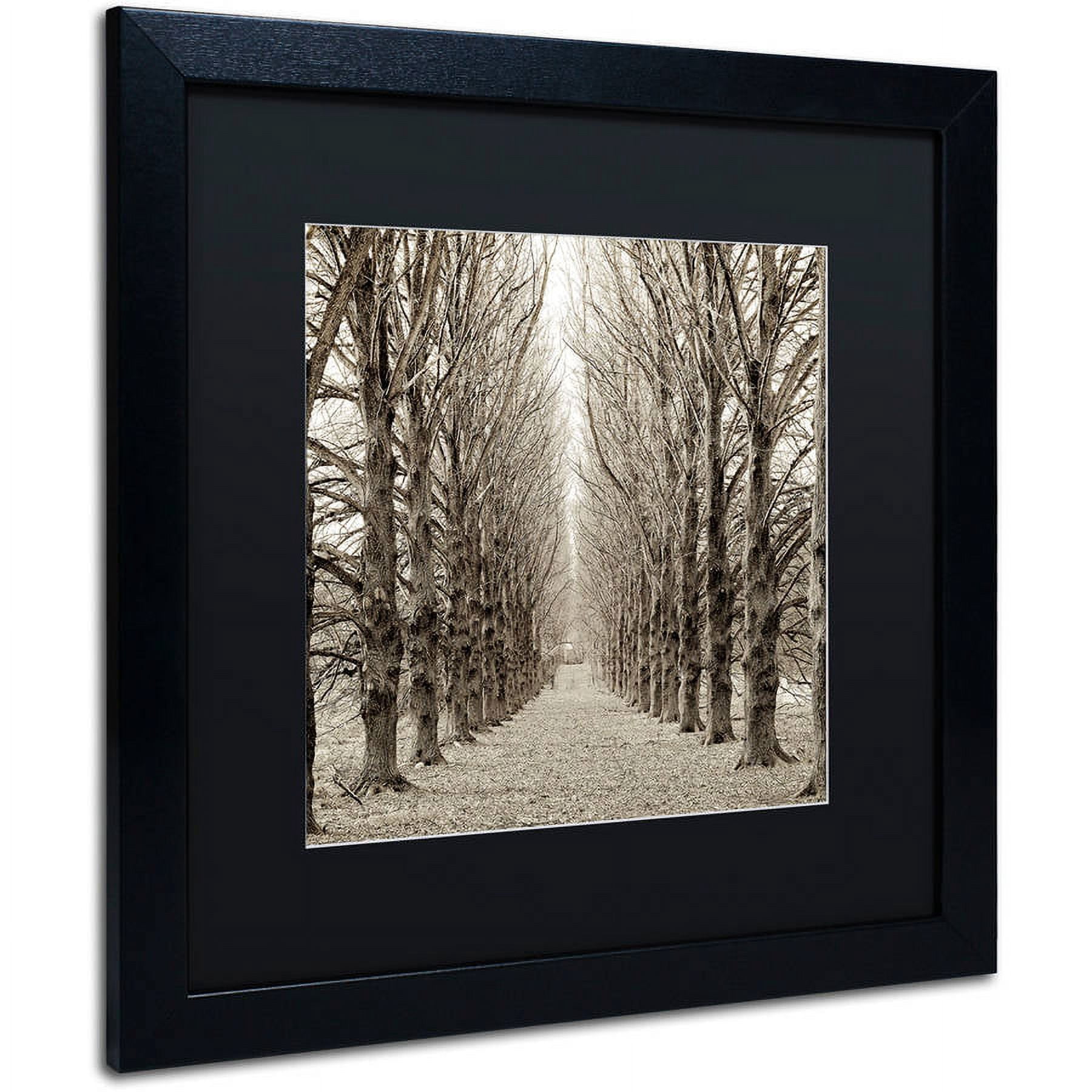 Trademark Fine Art "Hampton Gates Promenade III" Canvas Art by Alan Blaustein, Black Matte, Black Frame