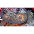 thumbnail image 4 of 18 Inch Koi Net with Telescopic Handle, 4 of 4