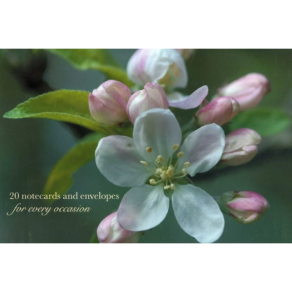 Card Box of 20 Notecards and Envelopes: Apple Blossom: A Delightful Pack of High-Quality Flower Gift Cards and Decorative Envelopes (Other)