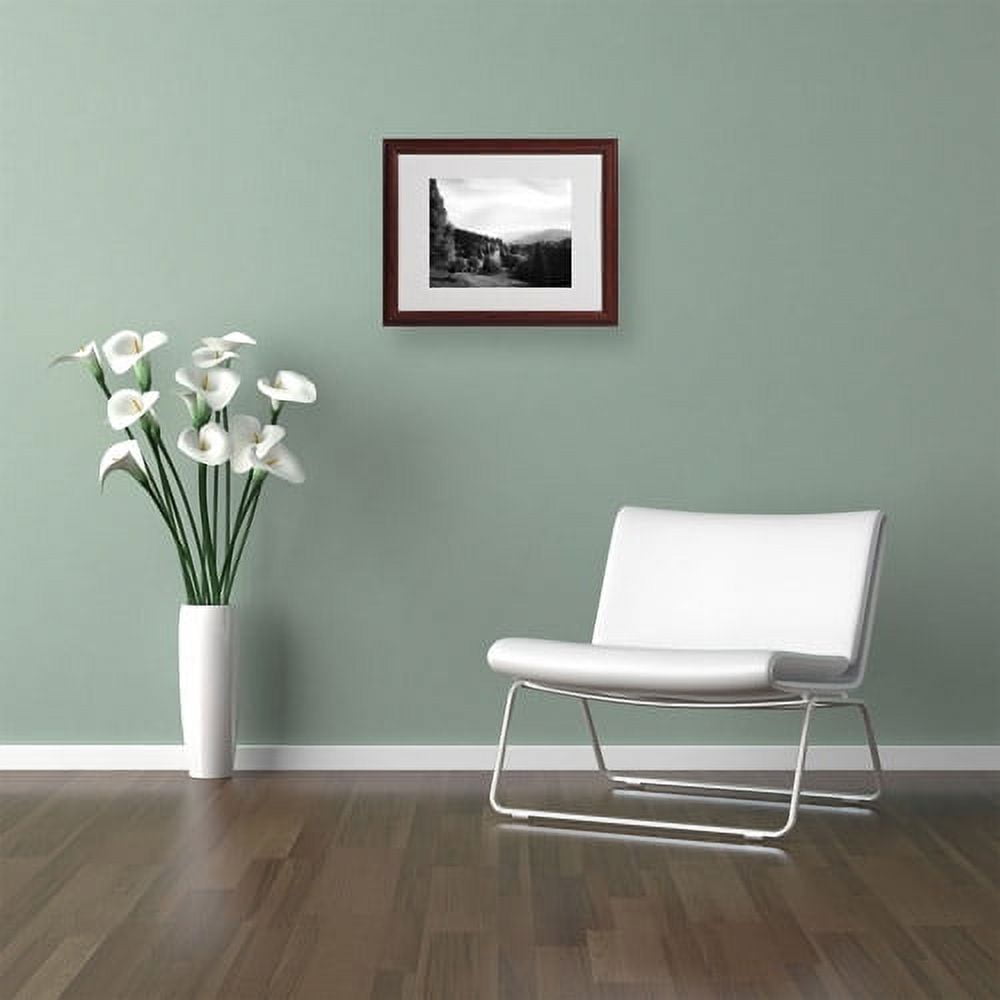 Trademark Fine Art "Spotlight" Canvas Art by Philippe Sainte-Laudy, Wood Frame