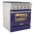thumbnail image 3 of Pemberly Row 30" 4.2 cu. ft. Dual Fuel Range Natural Gas Sealed Burners in Blue., 3 of 15