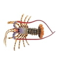 thumbnail image 1 of 1 Uds. Juguetes de langosta de simulación, 1 of 3