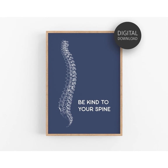 Chiropractor Poster Chiropractic Blue Spine Anatomy Poster Office Decor Chiropractor Spine Whisperer Chiro Wall Art Poster Wall Art For Decor Present , Poster Print Only