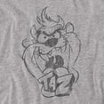 thumbnail image 2 of Looney Tunes T-Shirt Faded Taz Unisex Graphic Tee For Men & Women, 2 of 7